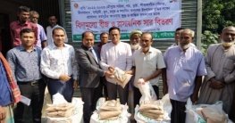 ফুলছড়িতে কৃষকদের মাঝে বিনামূল্যে বীজ ও সার বিতরণ ফুলছড়িতে কৃষকদের মাঝে বিনামূল্যে বীজ ও সার বিতরণ